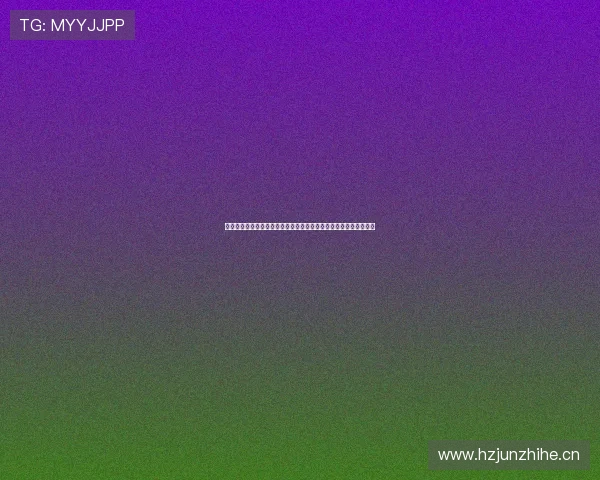 上海风速体育用品有限公司：创新引领运动装备行业发展与未来趋势